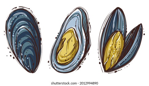 Set of mussels, color, hand drawn vector