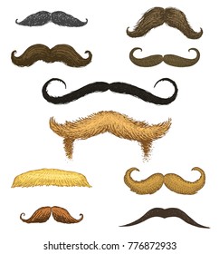 Set of mustache and funny beard of men, hipster and retro barber or hairdresser on transparent background. engraved hand drawn in old sketch, vintage style for packaging and signage.