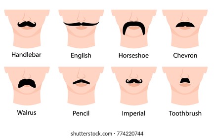 
Set of mustaches on mans face. Isolated on white background. Vector illustration. Moustache types with names: Handlebar, English, Horseshoe, Chevron, Walrus, Pencil, Imperial, Toothbrush.