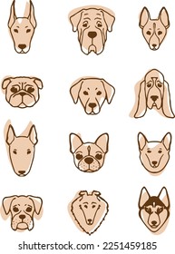 Set of muzzles of dogs of different breeds