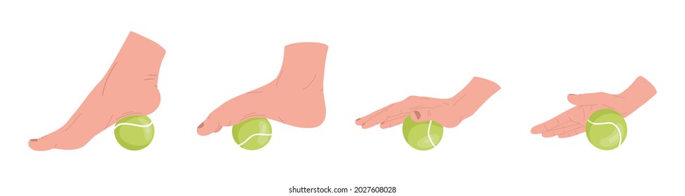 Set of myofascial release exercises for hands and  feet. Rehabilitation workout on tennis ball. Vector illustration.
