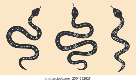 Set of mysterious snakes with floral and space elements. Black and white hand drawn mystic snakes collection. Magic or spiritual symbols. Vector illustration. 