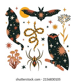 Set of mystic animals and magic design elements. Witchcraft and celestial hand drawn vector illustrations. 