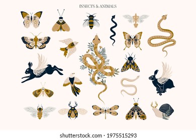 Set of mystical animals and insects clipart. Editable vector clipart illustration.