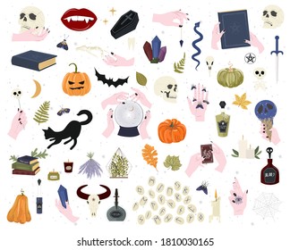 Set of mystical elements for Halloween party. Skull, pumpkin, magic symbol, crystal ball, bat. Editable vector illustration.