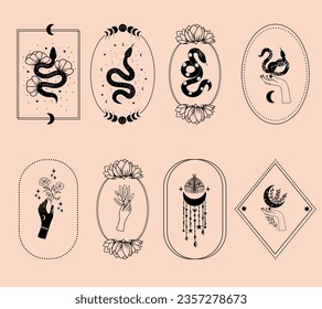 Set of mystical illustrations, witchy hands, floral moon, snakes and mystical flowers, witchcraft symbol, witchy esoteric objects