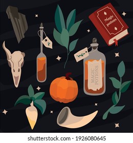 A set of mystical and magical elements. Vector illustration. Items for fortune telling and magic. Potions, Skull, Pumpkin, Tourmaline, Spellbook, Horn. The symbol of witchcraft.