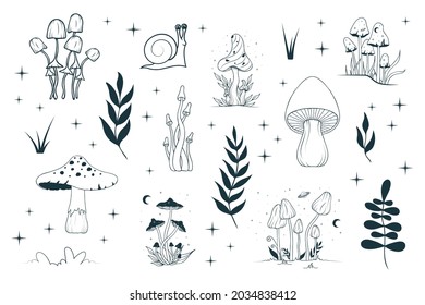 Set with mystical mushrooms, leaves, floral elements. Celestial fungi with moon and stars.