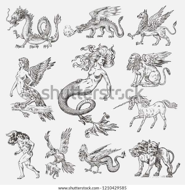 Set of Mythological animals. Mermaid Minotaur\
Unicorn Chinese dragon Cerberus Harpy Sphinx Griffin Mythical\
Basilisk Roc Woman Bird. Greek creatures. Engraved hand drawn\
antique old vintage\
sketch.