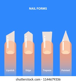 Set of nail forms. Kinds of nails. Vector illustration.