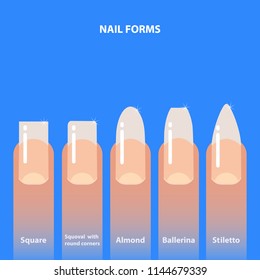 Set of nail forms. Kinds of nails. Vector illustration.