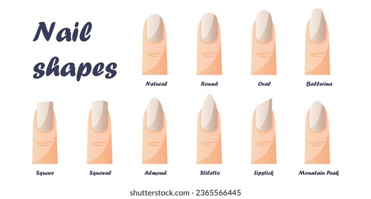 Conjunto de formas de uñas: oval, cuadrado, almendra, estilete, bailarina, espelóvalo. Guía diferentes formas, tipos de uñas de manicura. Tendencias profesionales de salón, belleza y cuidado. Instrucción clásica. Vector