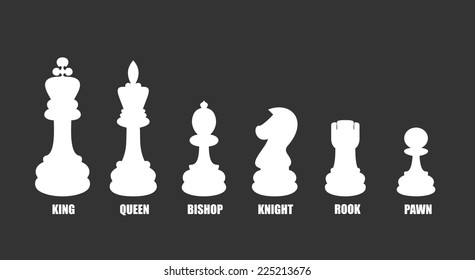 Set of named chess piece vector icons 