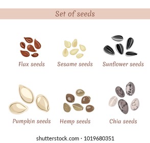 Set of named seeds isolated on white background. Chia, flax, sesame, sunflower, pumpkin, hemp. Vector illustration in cartoon simple flat style.