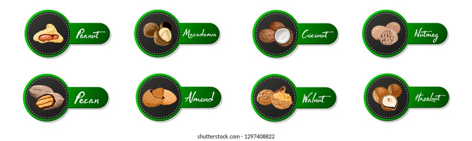 Set of named vector icons nuts and seeds. Nuts logo set. Vector labels with walnut, coconut, nutmeg, hazelnut, pecan, almond, peanut, macadamia. Food symbols collection on the white background.