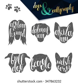 Set names dog breeds in calligraphy handmade design.  Elite premium labels. Create retro and vintage  posters, brochures, postcards.