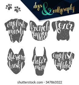 Set names dog breeds in calligraphy handmade design.  Elite premium labels. Create retro and vintage  posters, brochures, postcards.