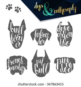 Set names dog breeds in calligraphy handmade design.  Elite premium labels. Create retro and vintage  posters, brochures, postcards.