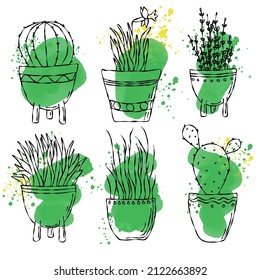Set of narcissus flower, aloe, cactus in pots. Vector collection of 6 black and white potted plants isolated on a white background. Botanical illustration. Greenery clipart. Minimal home plant print. 