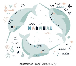 A set of narwhal marine animals. Vector illustration in Scandinavian cute style