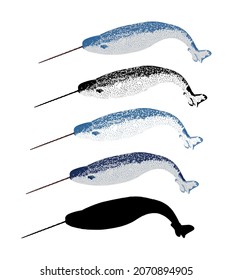Set von narraler Vektorsilhouette, einzeln auf weißem Hintergrund. Einhornwal. Große Tiere aus Tiefsee und Meeresgewässern.