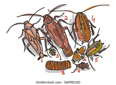 Set of nasty and vile cockroaches, beetles, larvae of flies. Color vector insect parasites illustration 