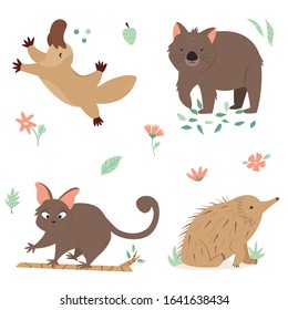 Set of native Australian animals possum, echidna, wombat, platypus. Character design