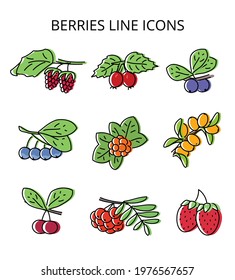 set of natural berries. vector illustration in flat style