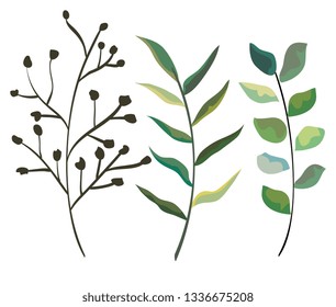 set natural branches leaves plants