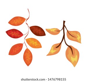 set of natural branches leaves style