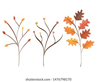 set of natural branches plants with leaves