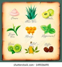 Set of natural cosmetics ingredients, vector illustration. 