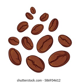 Set of natural different coffee beans on white background. Vector color illustration. 