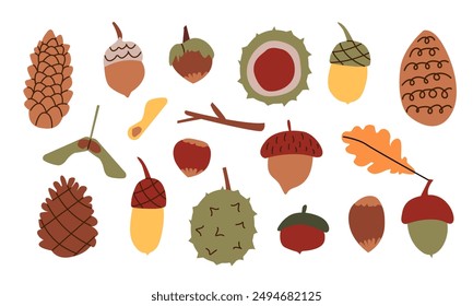 Set of natural elements, acorns, chestnuts, cones, materials for creativity, autumn crafts Simple cone, chestnut set. Autumn set of cute cozy design elements. Fall, Thanksgiving Day, Autumn season.