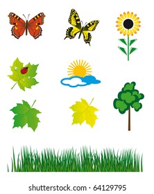 Set of natural elements for design. Vector illustration