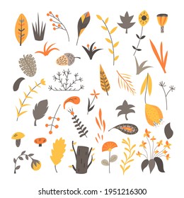 Set of natural elements in a Scandinavian style on white background. Flat vector illustration.