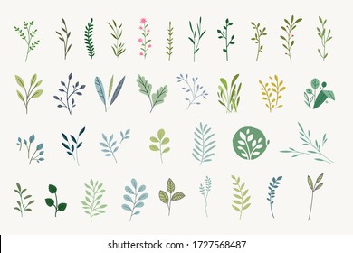 Set of natural and floral elements for graphic and web design. Vector illustrations for natural and organic products, beauty, fashion, spa and wellness, wedding and events, environment. 