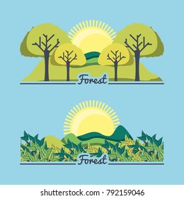 set of natural forest landscapes 