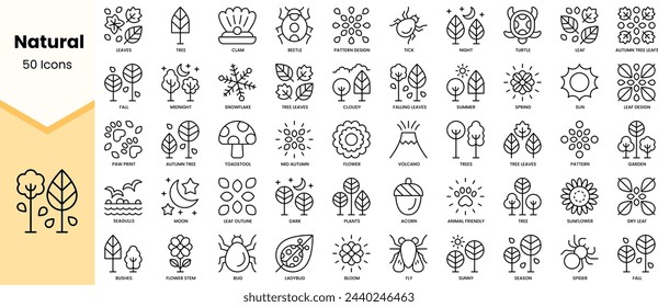 Set of natural icons. Simple line art style icons pack. Vector illustration
