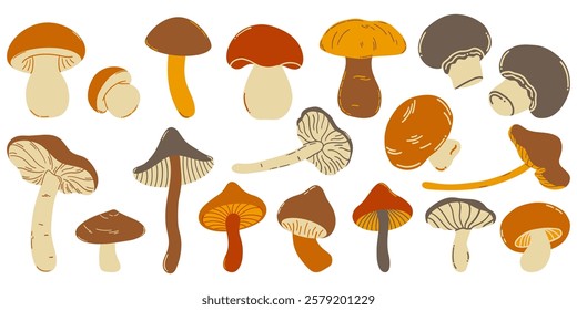 Set of natural and isolated mushrooms, sprouts from the autumn forest. Seasonal hedgehog mushrooms, chanterelles, pecheritsa and fly agaric vector flat illustration.