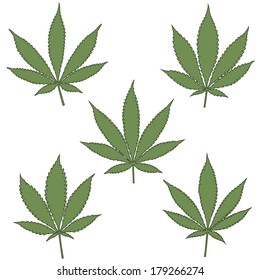 Set of natural marijuana leaves, vector illustration.