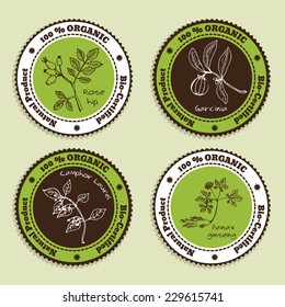 Set of Natural Organic Product badges. Collection of Ayurvedic Herbs. Natural Supplements.  Camphor laurel, Rose hip, Garcinia,  Panax ginseng 