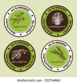 Set Of Natural Organic Product Badges. Labels For Essential Oils. Lemongrass, Eucalyptus, Peppermint, Rosemary