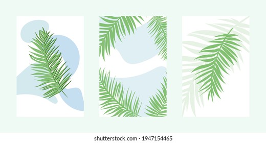 Set of natural plant banners, with green palm leaves, minimalist botanical posters. Background for interior design, tropical posters, with leaves and branches. Palm banners in blue, green colors.