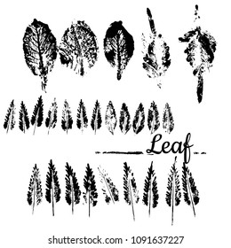 Set natural real leaf. Vector dark illustration.