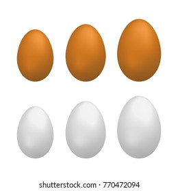 Set of natural realistic eggs different sizes isolated on white background.