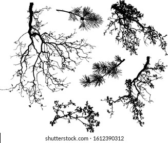 set of natural tree branches silhouettes (vector illustration) eps10
