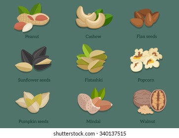 Set natural walnut grain flat design. Pistachio and popcorn, seed flax, cashew and mindal, walnut and almond, sunflower and peanut, pumpkin and food illustration