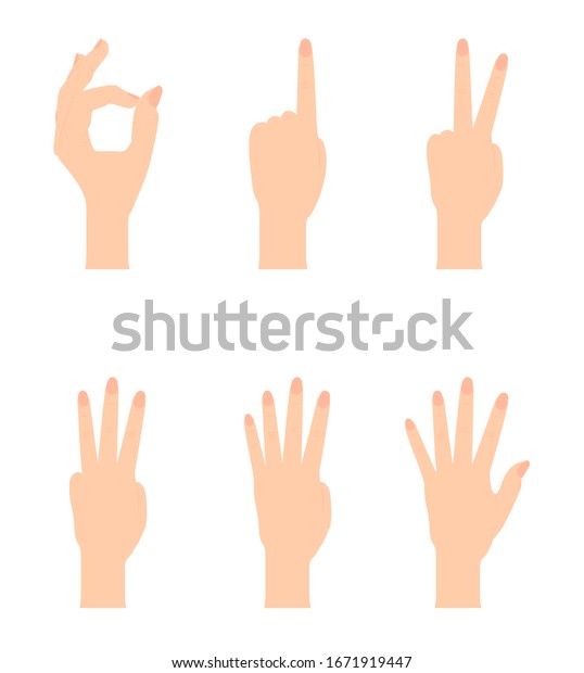 0 1 2 3 4 5の数字を指の屈曲で示す自然的な手のシルエットのセット ベクターイラスト Eps10 のベクター画像素材 ロイヤリティフリー