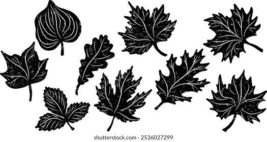 set of naturalistic leaf silhouettes vector eco element